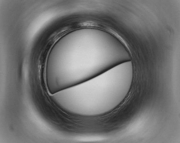 X0000110971151200906191105