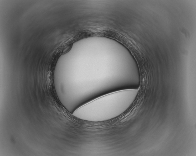 X0000110971156200906191105