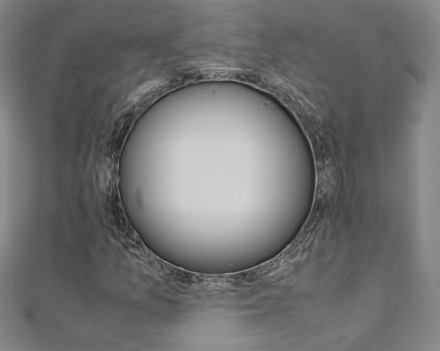 X0000110971157200906191105