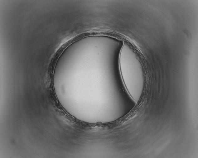 X0000110971160200906191105