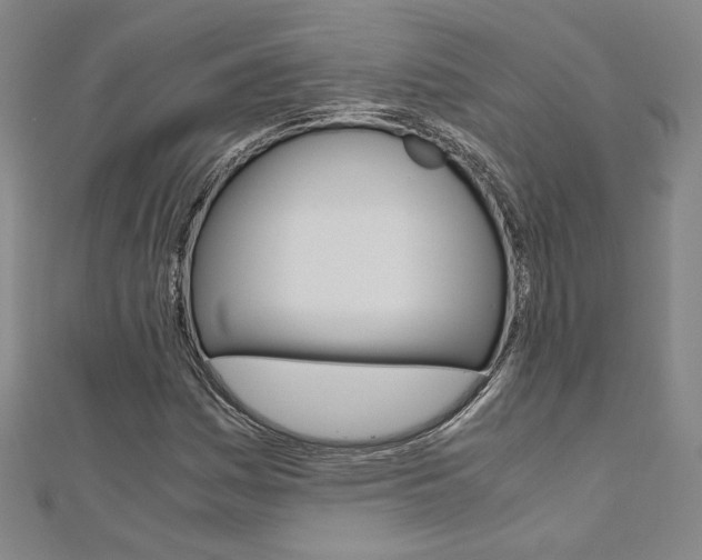 X0000110971161200906191105