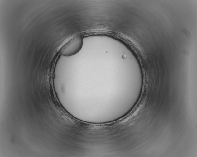X0000110971162200906191105