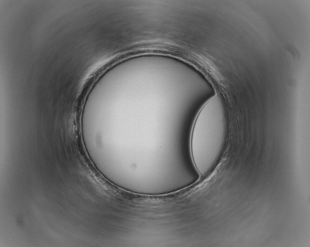 X0000110971164200906191105