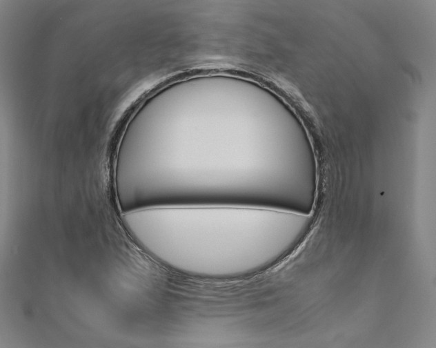 X0000110971167200906191104