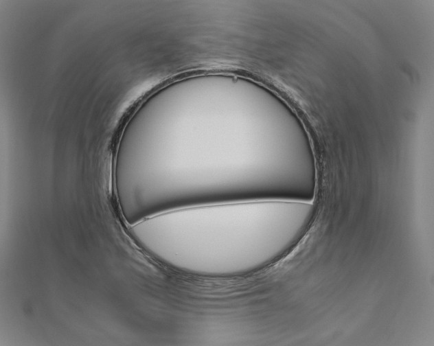 X0000110971171200906191104