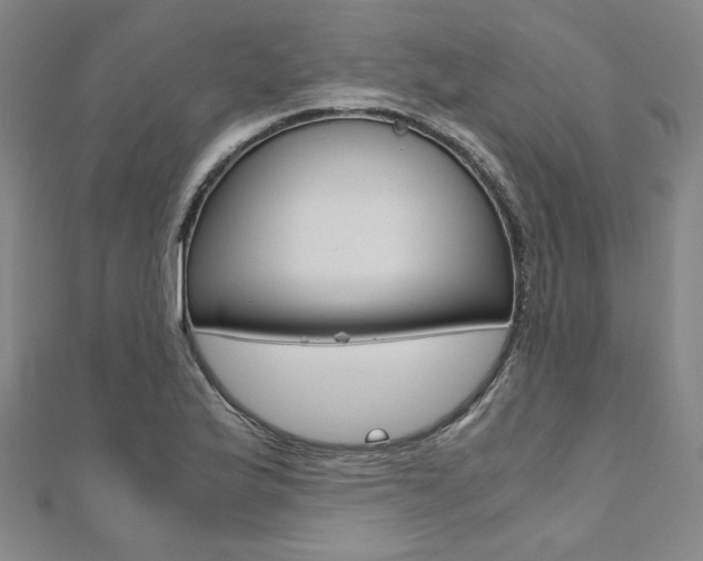 X0000110971175200906191104