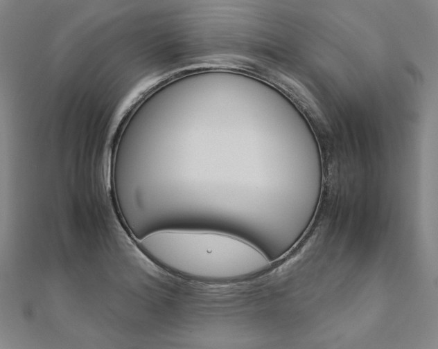 X0000110971180200906191104