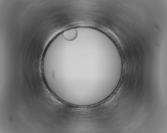 X0000110971182200906191104