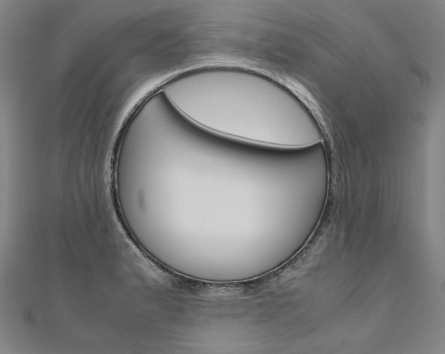 X0000110971183200906191104