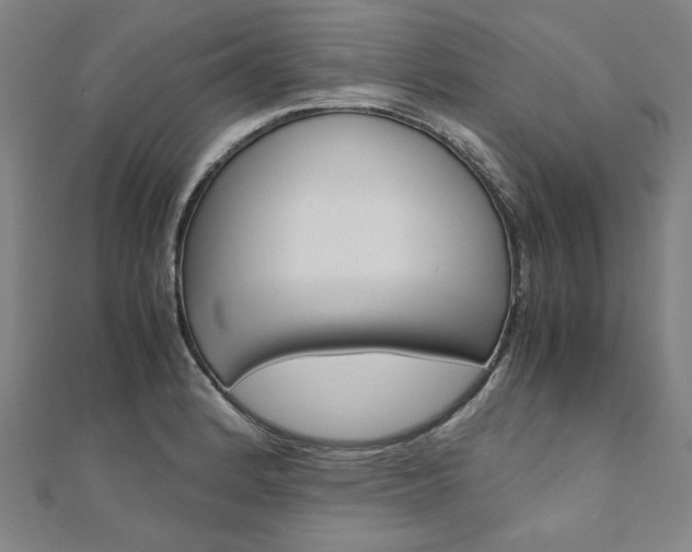 X0000110971184200906191104