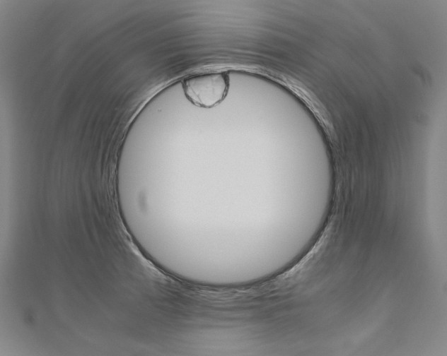 X0000110971185200906191104