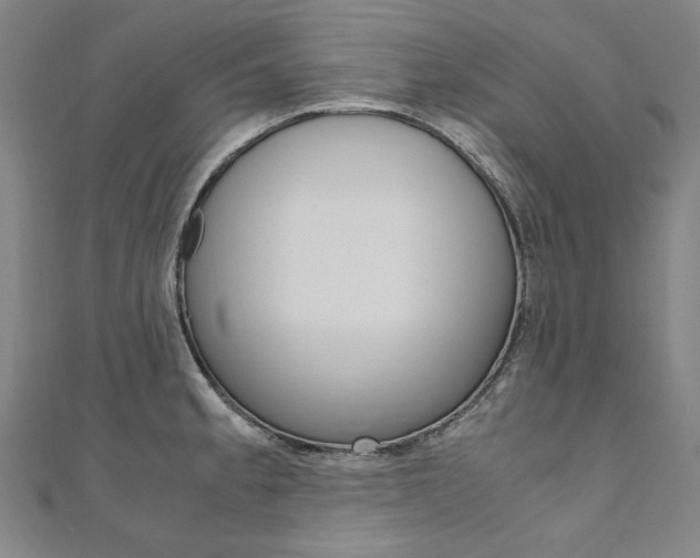 X0000110971189200906191104