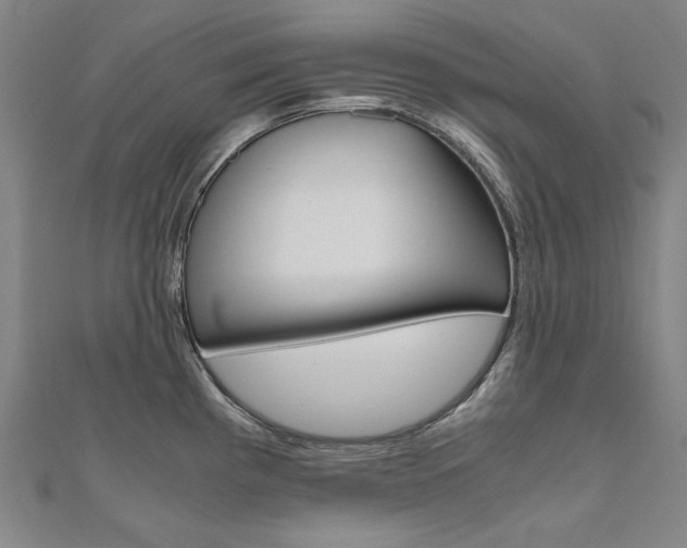X0000110971193200906191104