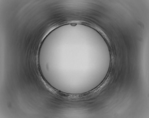 X0000110971194200906191104