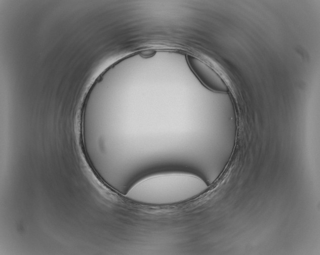 X0000110971195200906191104