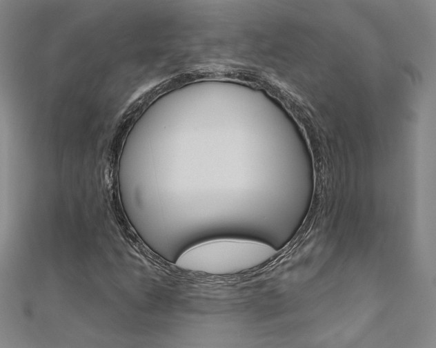 X0000110971206200906191103
