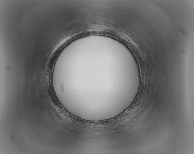 X0000110971208200906191104