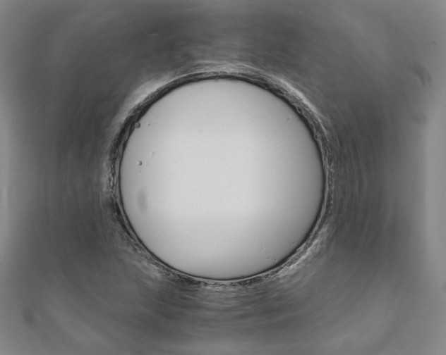 X0000110971215200906191104