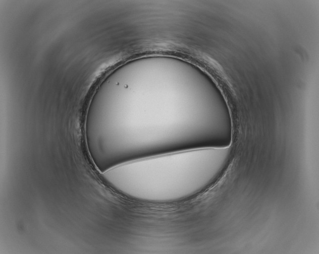 X0000110971218200906191104