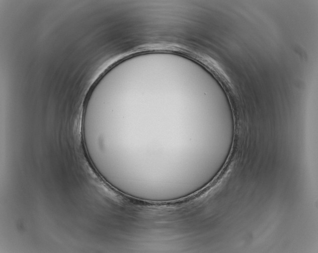 X0000110971228200906191104