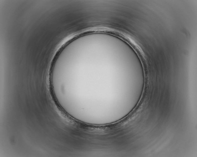 X0000110971229200906191104