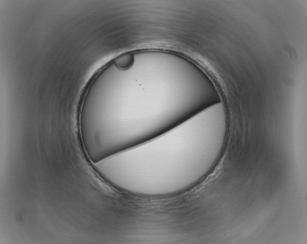 X0000110971230200906191104