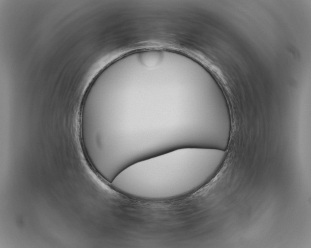 X0000110971239200906191104