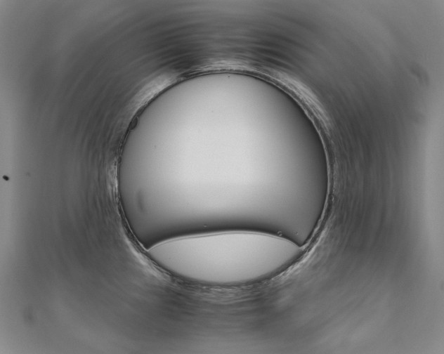 X0000110971241200906191104