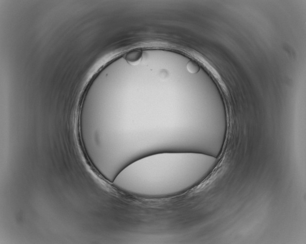 X0000110971245200906191104
