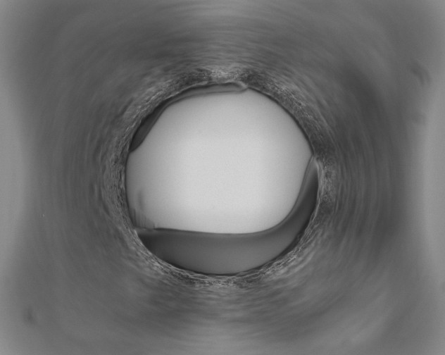 X0000110971249200906191103