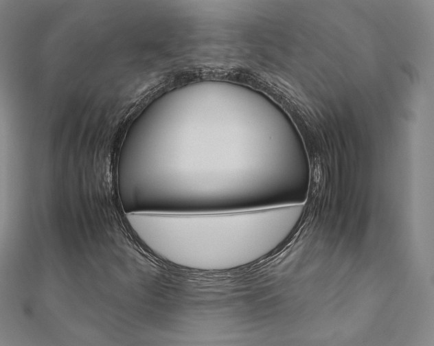 X0000110971252200906191103