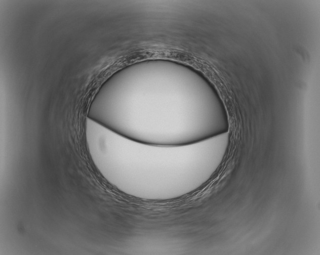 X0000110971253200906191103