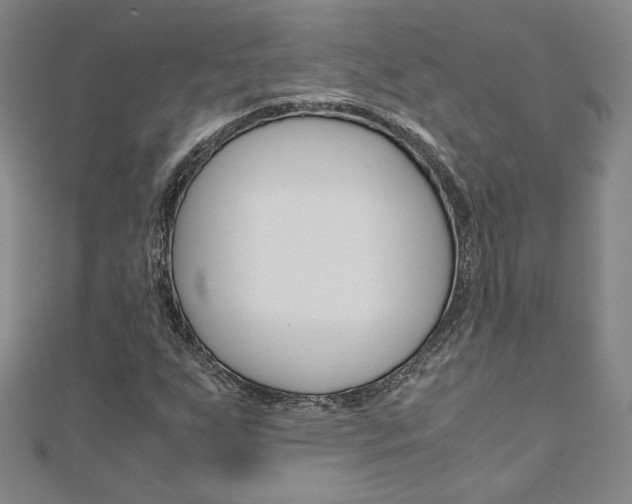 X0000110971255200906191103