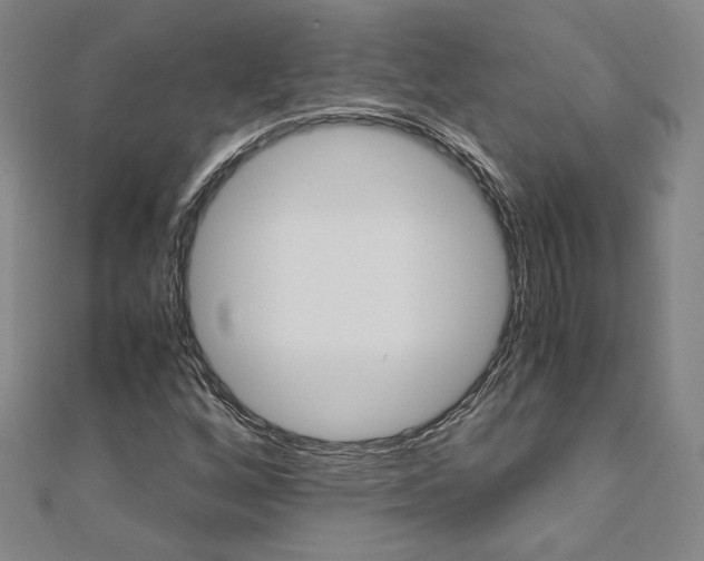 X0000110971256200906191103