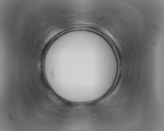 X0000110971259200906191103