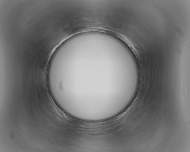 X0000110971260200906191103