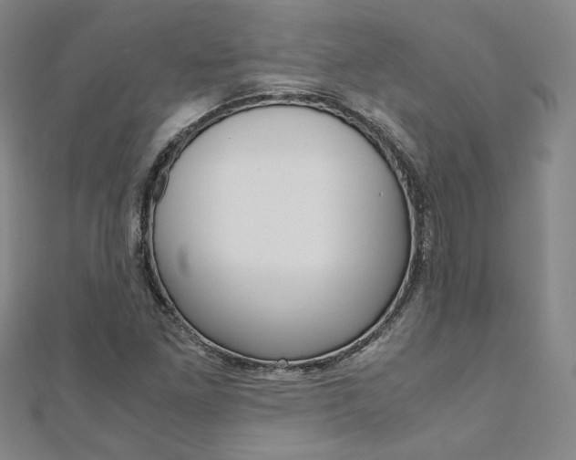 X0000110971261200906191103