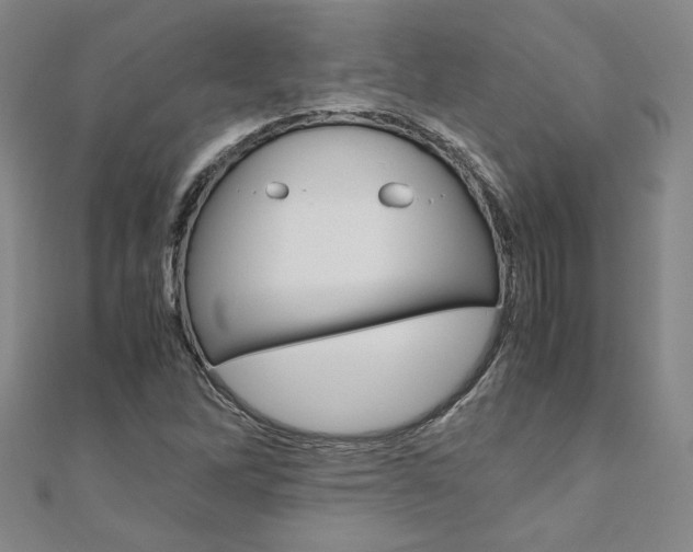 X0000110971262200906191103
