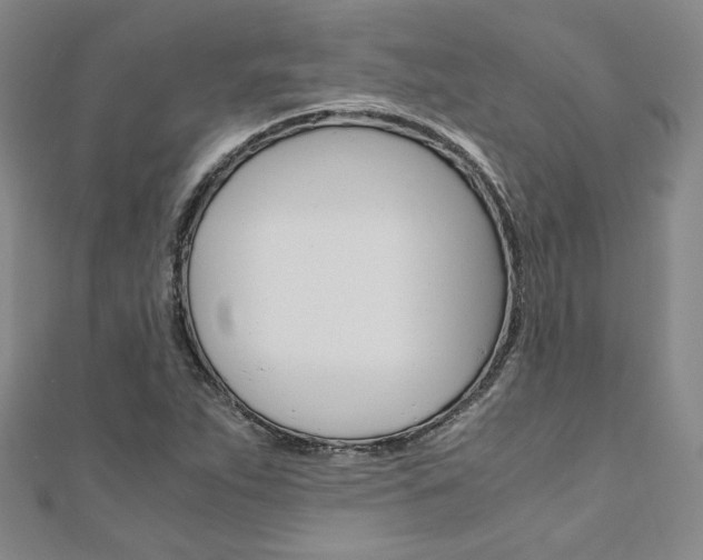 X0000110971263200906191103