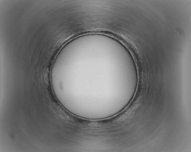 X0000110971265200906191103