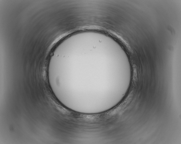 X0000110971266200906191103