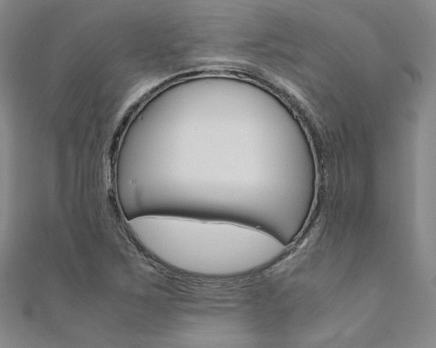 X0000110971267200906191103