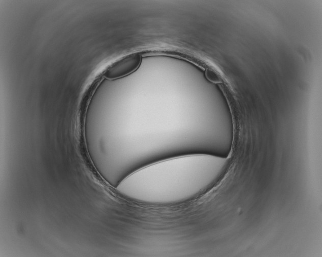X0000110971270200906191103