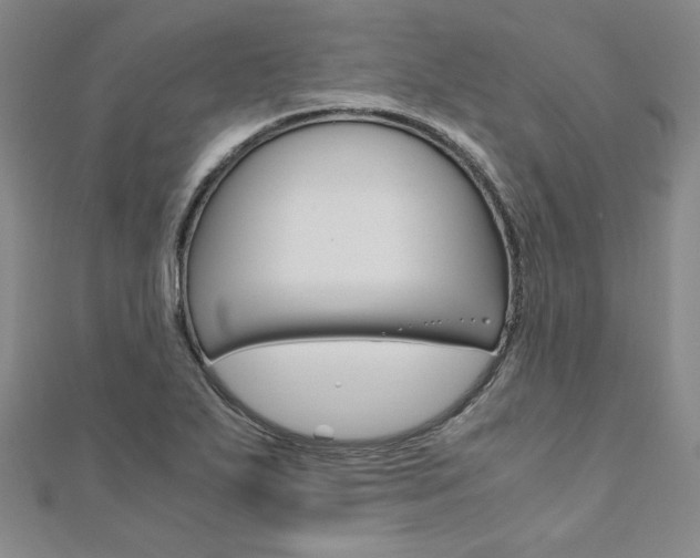 X0000110971271200906191103