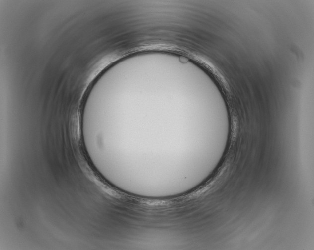 X0000110971274200906191103