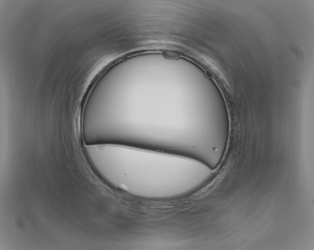 X0000110971275200906191103