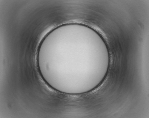 X0000110971278200906191103