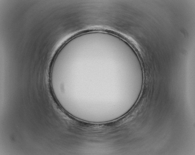 X0000110971279200906191103