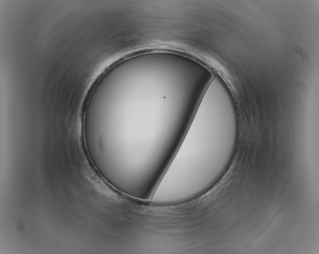 X0000110971280200906191103