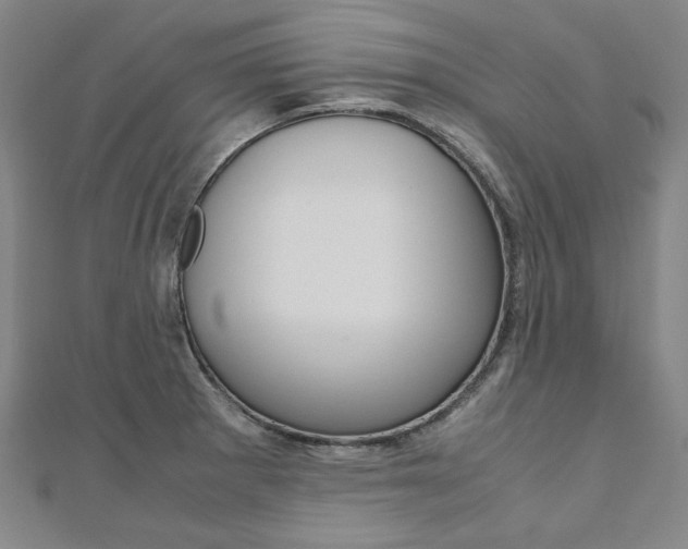 X0000110971281200906191103